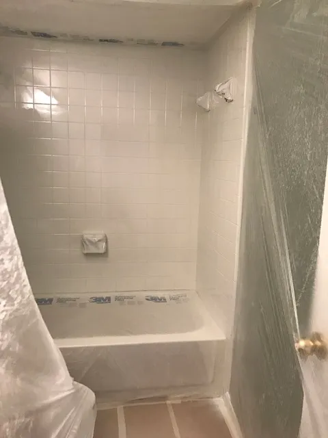 Bathtub Refinishing FL Picture 2