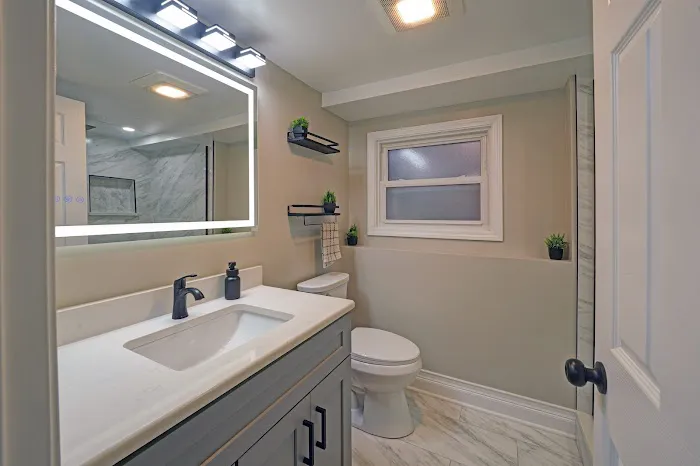 ILLINOIS REMODEL Picture 2