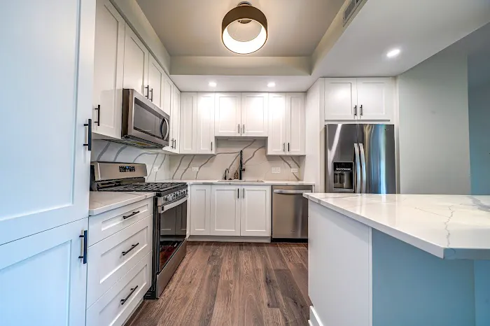 ILLINOIS REMODEL Picture 10