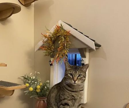 Home Source Builders & Remodelers