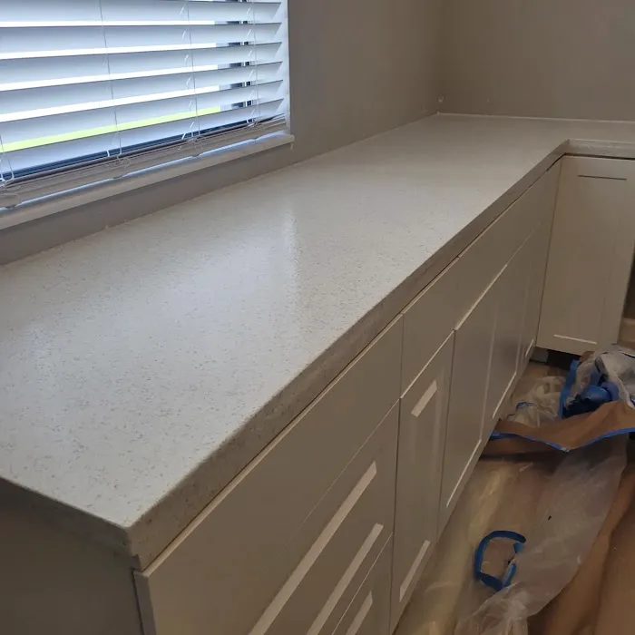 Promaster refinishing and coatings inc Picture 10