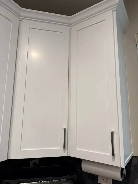 Save My Cabinets Picture 9