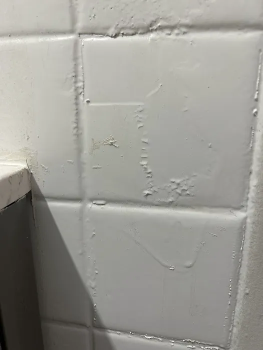 Bathtub Restoration Florida Picture 3