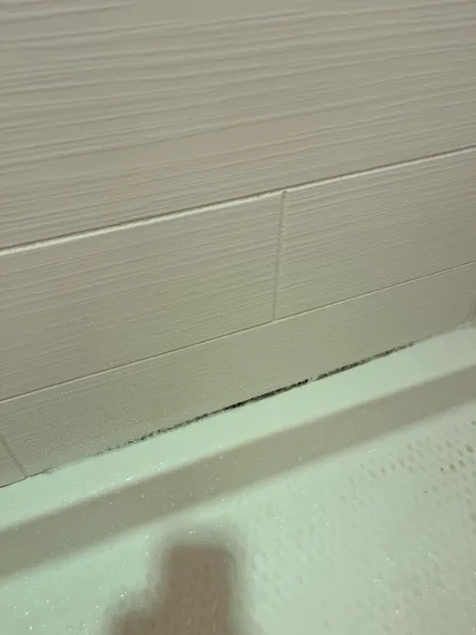 Bath Fitter Picture 4