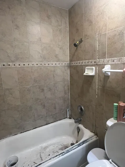 BathTubGuys Refinishing Picture 5