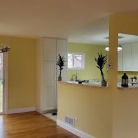 Details Home Improvement L.L.C. ico