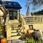 Ace Handyman Services of Lincoln Way
