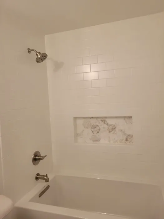 LW Construction and Remodeling LLC Picture 6