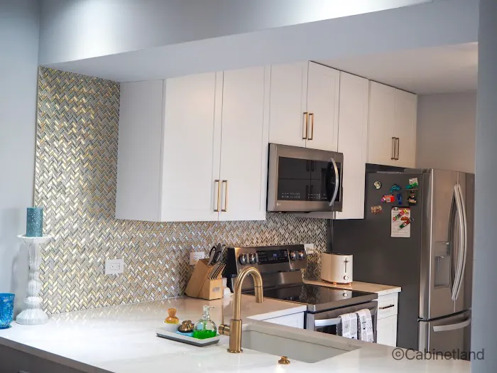 Cabinetland Kitchen and Bathroom Remodeling Chicago Picture 7