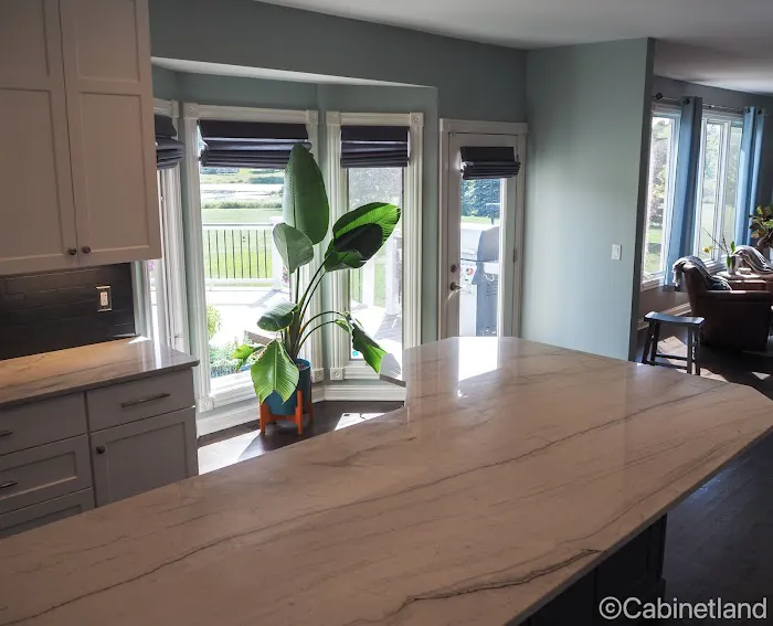 Cabinetland Kitchen and Bathroom Remodeling Chicago Picture 6