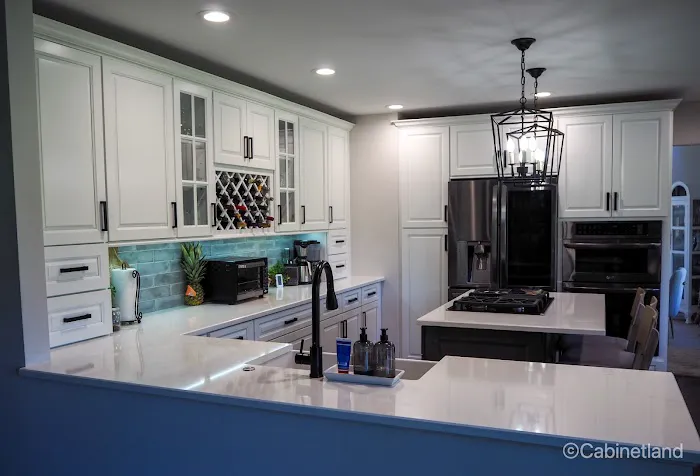 Cabinetland Kitchen and Bathroom Remodeling Chicago Picture 10