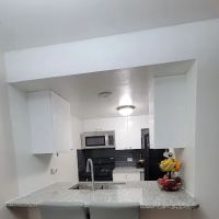 Silva Build LLC ico