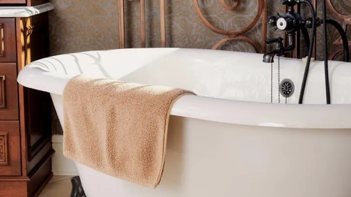Seattle Bathtub Guy Picture 5