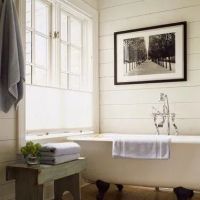 Seattle Bathtub Guy ico