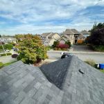 Lake Construction & Design LLC