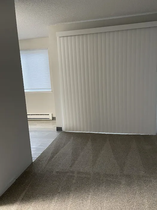 Tidy House Cleaning Picture 10