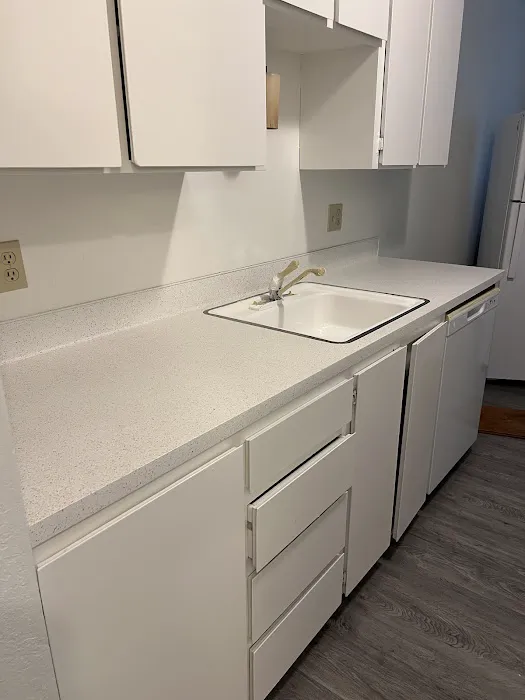 Surface Renew Inc. Picture 4