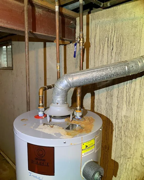 Harmonic Home Services - Home Renovation, Plumbing & Electric Services Picture 4