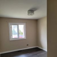 Painting Houses Diaz LLC ico