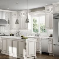 ACL Innovations - More Than Just A Remodeling Company ico