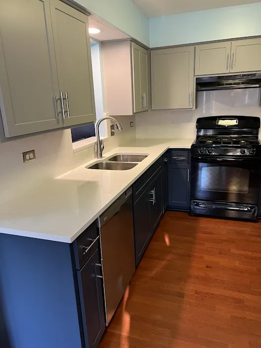 Modern Kitchens USA Picture 7