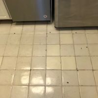Divine Refinishing Inc Bathtub & Tile Refinishing FL ico