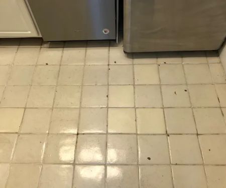 Divine Refinishing Inc Bathtub & Tile Refinishing FL