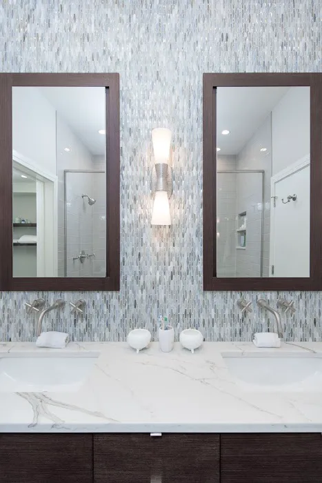 Chicago Renovation and Development Picture 8