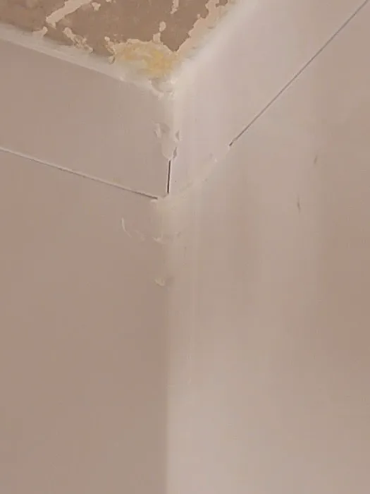 Bath Fitter Picture 1