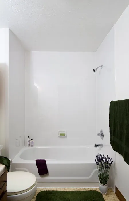 NW Tub & Shower Picture 4