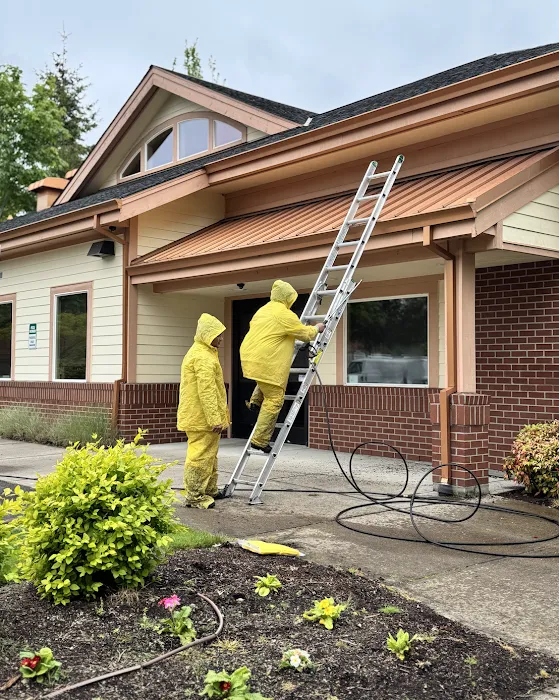CM Painting & Contracting Picture 3