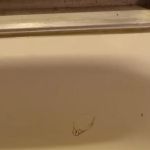 Estes Bathtub & Window Repair