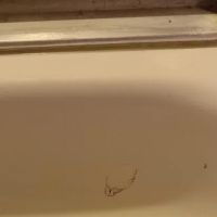 Estes Bathtub & Window Repair ico