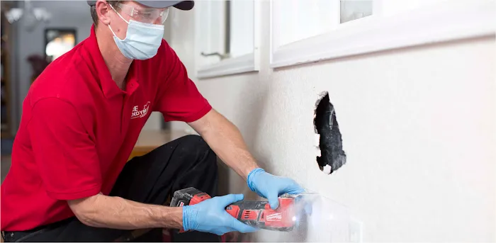 Ace Handyman Services Fox Valley Picture 1