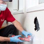 Ace Handyman Services Fox Valley
