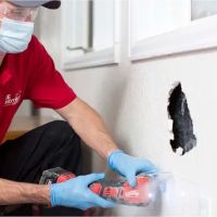 Ace Handyman Services Fox Valley ico