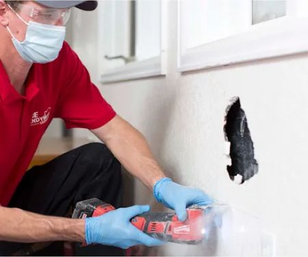 Ace Handyman Services Fox Valley