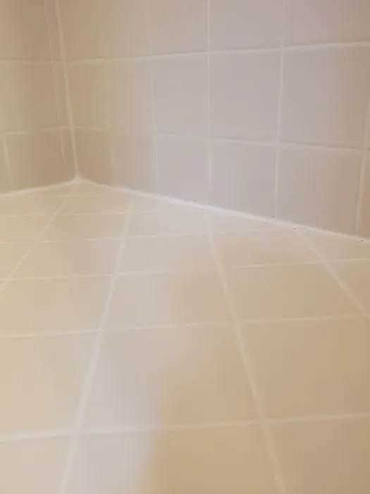 Carolina Tile, Grout & Tub Restoration, Inc. Picture 1