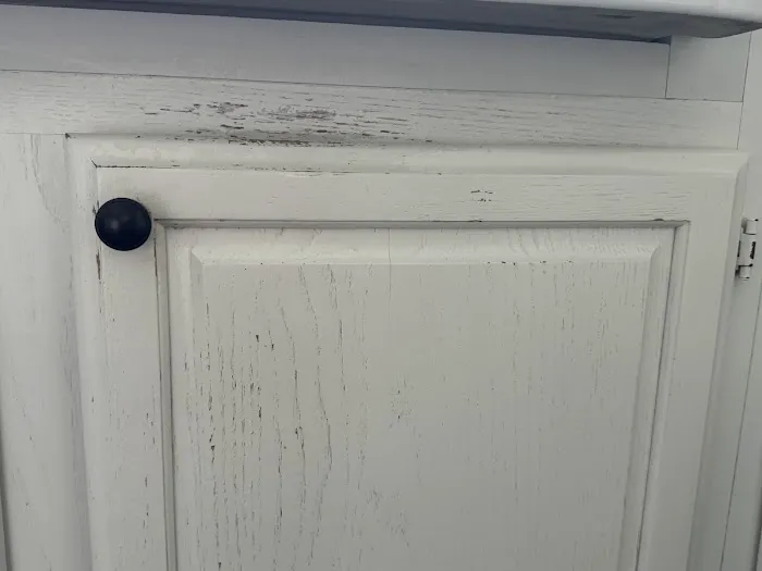 Envision Custom Painting LLC Picture 8