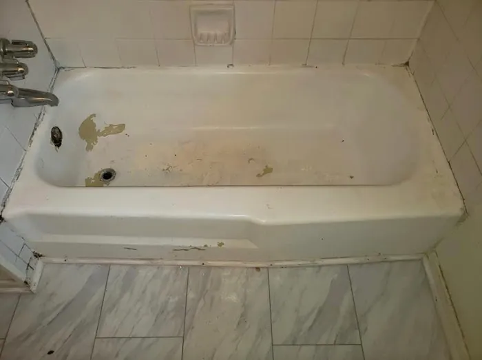 Bathtub Refinishing Pro Picture 1