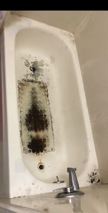 Miracle Method of San Francisco North Picture 4