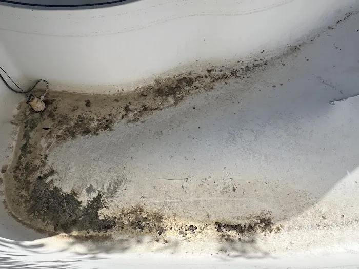 Advanced Pool Coatings Picture 7