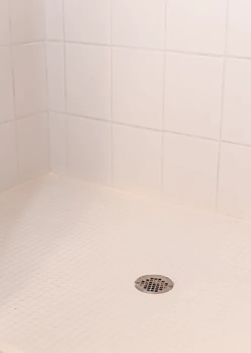 Surface Renew Picture 9