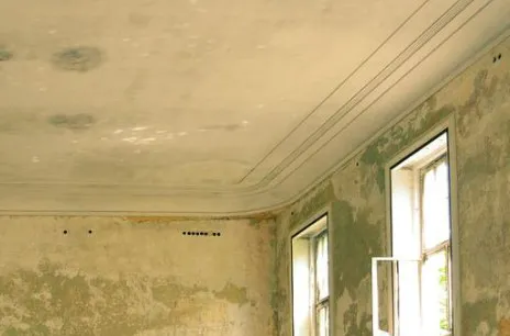 AZ Water Damage Restoration Service, Fire, Mold, Flood Picture 8