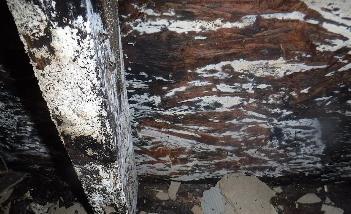 AZ Water Damage Restoration Service, Fire, Mold, Flood Picture 7