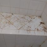 Decorative Coatings Refinishing