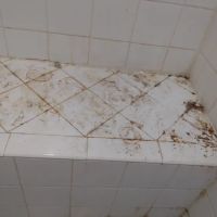 Decorative Coatings Refinishing ico