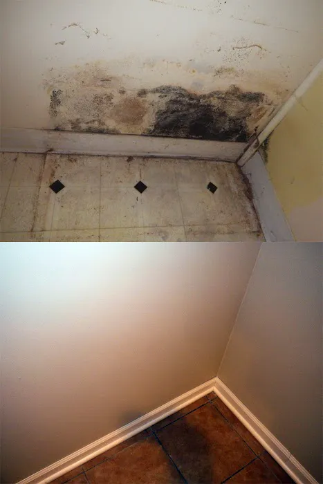Ladany Remodeling Picture 7