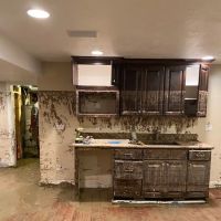 BluSky Restoration Contractors ico