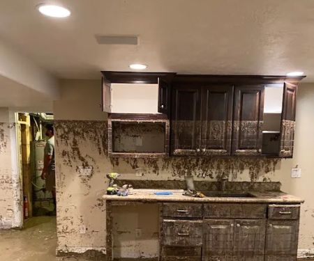 BluSky Restoration Contractors